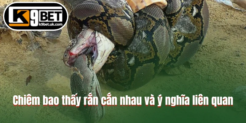 Chiêm bao thấy rắn cắn nhau và ý nghĩa liên quan