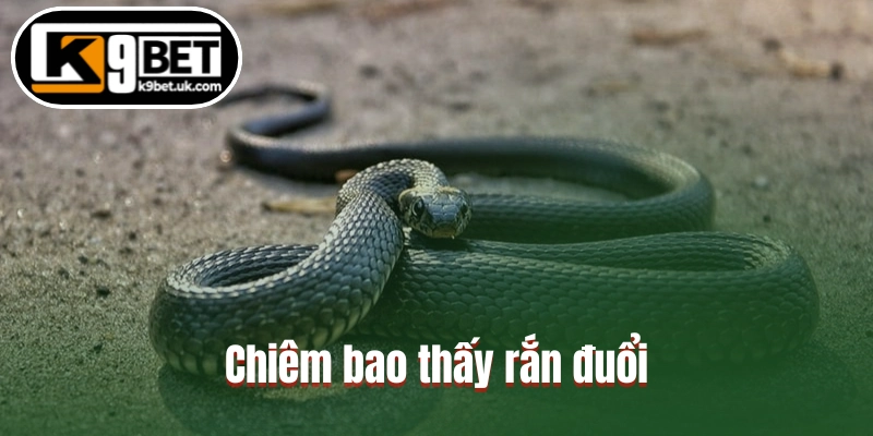Chiêm bao thấy rắn đuổi