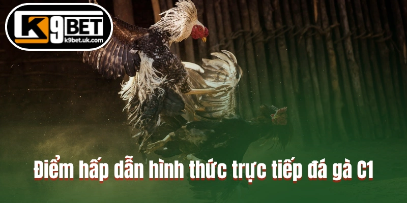 Điểm hấp dẫn hình thức trực tiếp đá gà C1