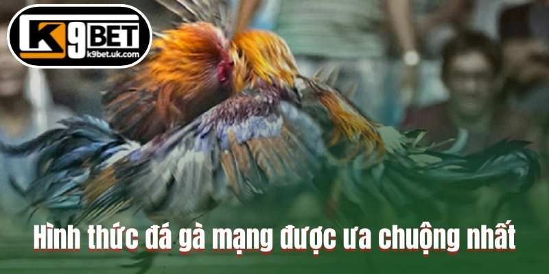 Hình thức đá gà mạng được ưa chuộng nhất