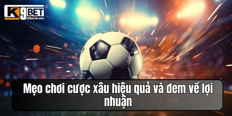 Mẹo chơi cược xâu hiệu quả và đem về lợi nhuận