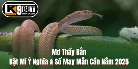 Mơ Thấy Rắn - Bật Mí Ý Nghĩa & Số May Mắn Cần Nắm 2025