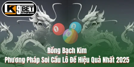 Rồng Bạch Kim - Phương Pháp Soi Cầu Lô Đề Hiệu Quả Nhất 2025