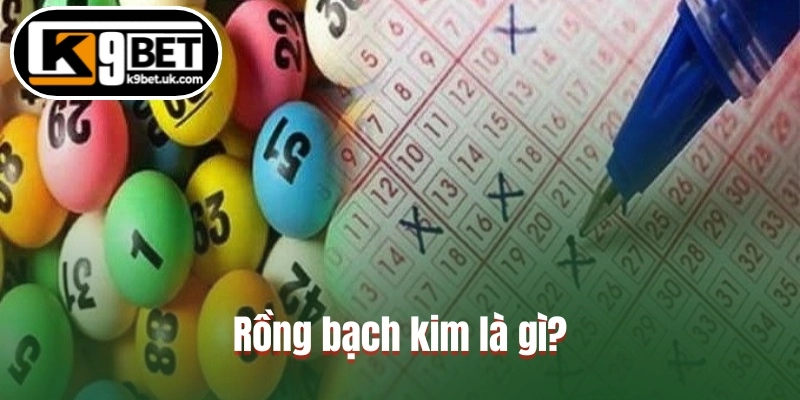 Rồng bạch kim là gì?
