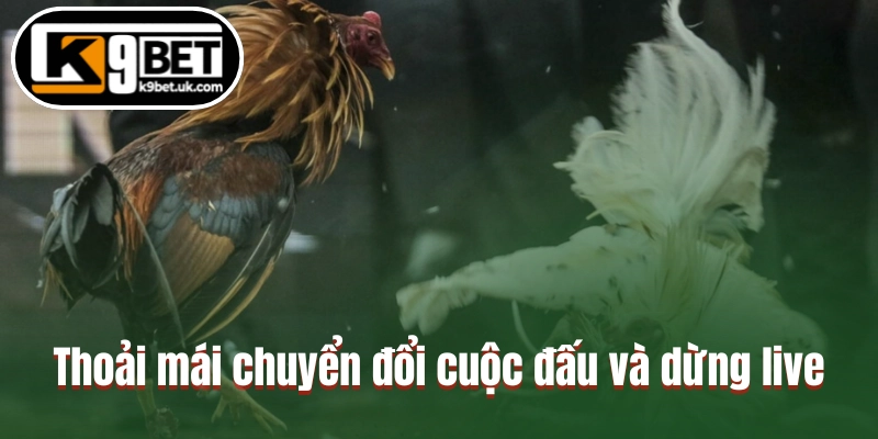 Thoải mái chuyển đổi cuộc đấu và dừng live