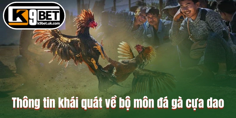 Thông tin khái quát về bộ môn đá gà cựa dao