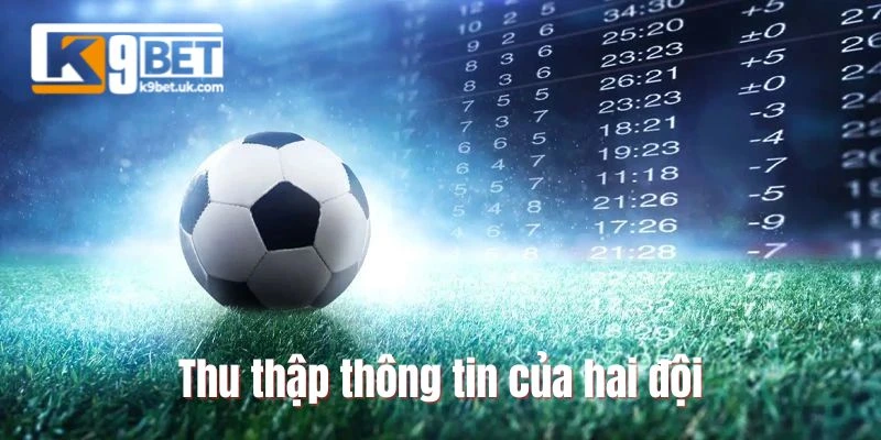 Thu thập thông tin của hai đội