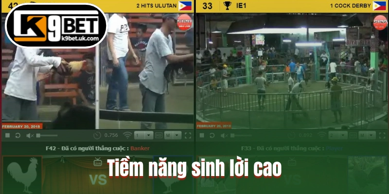 Tiềm năng sinh lời cao