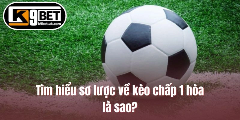 Tìm hiểu sơ lược về kèo chấp 1 hòa là sao