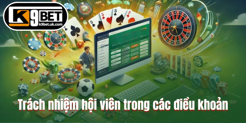 Trách nhiệm bạn nên làm về điều khoản và điều kiện