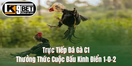 Trực Tiếp Đá Gà C1 - Thưởng Thức Cuộc Đấu Kinh Điển 1-0-2