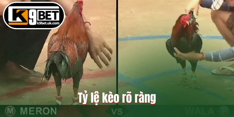 Tỷ lệ kèo rõ ràng